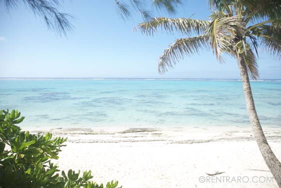 the beach is across the road