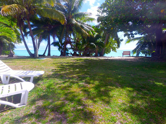 The back yard is ideal for kids to run around in at Teiao Beachfront