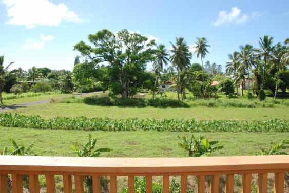 views of the surrounding taro and noni plantations from the expansive balcony